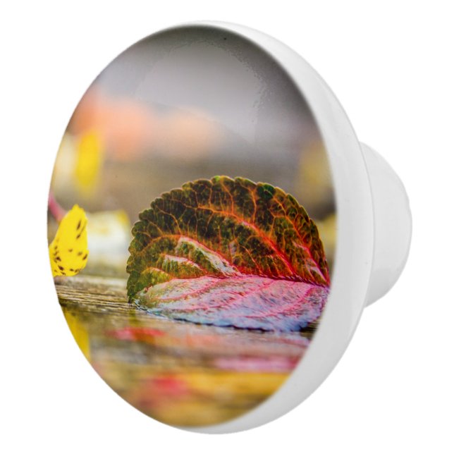 Fall colours ceramic knob (Right)