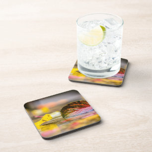 Fall colours coaster