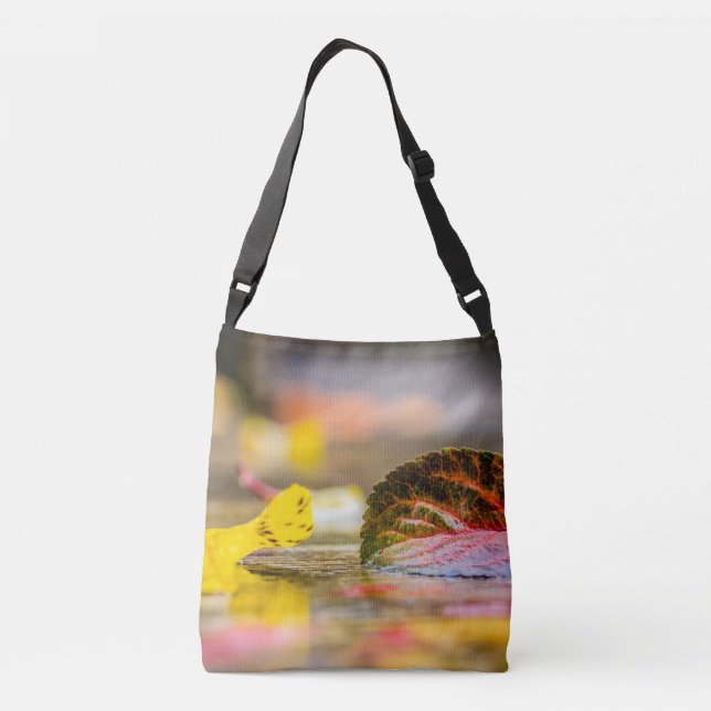 Fall colours crossbody bag (Back)