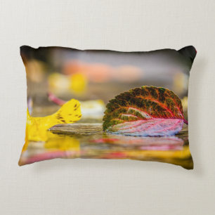 Fall colours decorative cushion