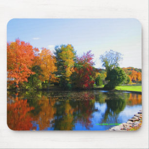 Fall colours in New York mousepad design