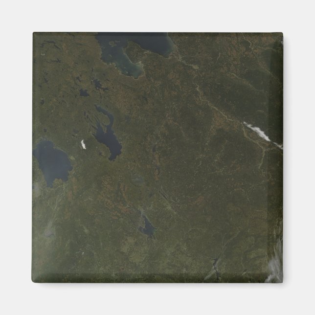 Fall colours in northwestern Russia Magnet (Front)