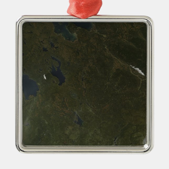 Fall colours in northwestern Russia Metal Tree Decoration (Front)