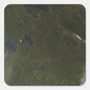 Fall colours in northwestern Russia Square Sticker