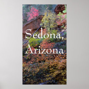 Fall colours in Sedona Poster