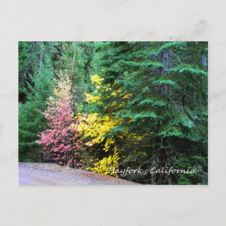 Fall colours in the mountains..... postcard