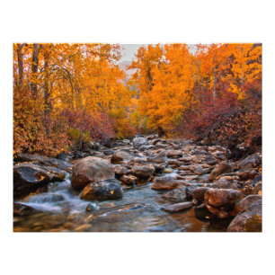 Fall Colours in the Ruby Mountains Photo Print