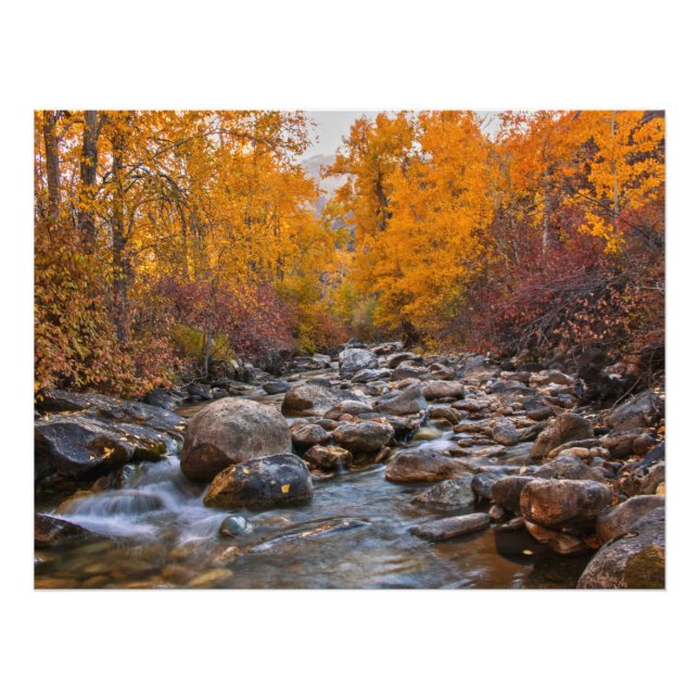 Fall Colours in the Ruby Mountains Photo Print (Front)