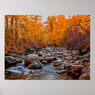 Fall Colours in the Ruby Mountains Poster