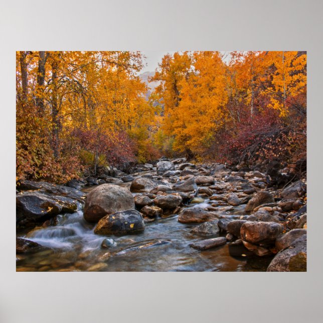 Fall Colours in the Ruby Mountains Poster (Front)