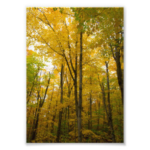 Fall colours, Munising, Michigan Photo Print