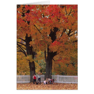 Fall Colours Note Card
