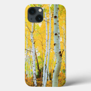 Fall colours of Aspen trees 1 iPhone 13 Case