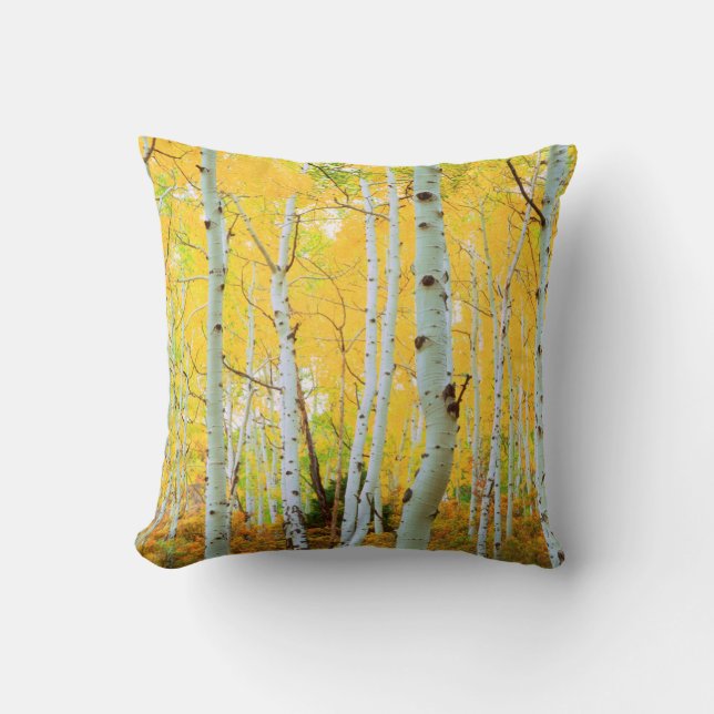 Fall colours of Aspen trees 1 Cushion (Front)