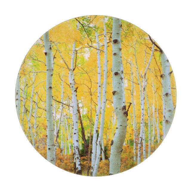 Fall colours of Aspen trees 1 Cutting Board (Front)