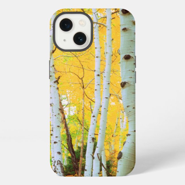 Fall colours of Aspen trees 1 iPhone Case (Back)