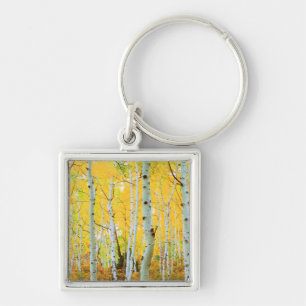 Fall colours of Aspen trees 1 Key Ring