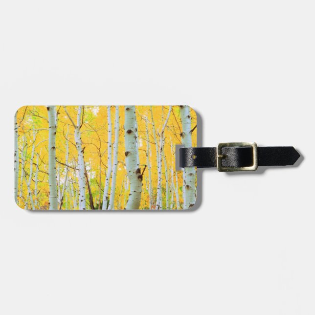 Fall colours of Aspen trees 1 Luggage Tag (Front Horizontal)