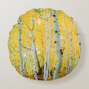 Fall colours of Aspen trees 1 Round Cushion