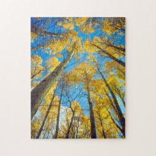 Fall colours of Aspen trees 2 Jigsaw Puzzle