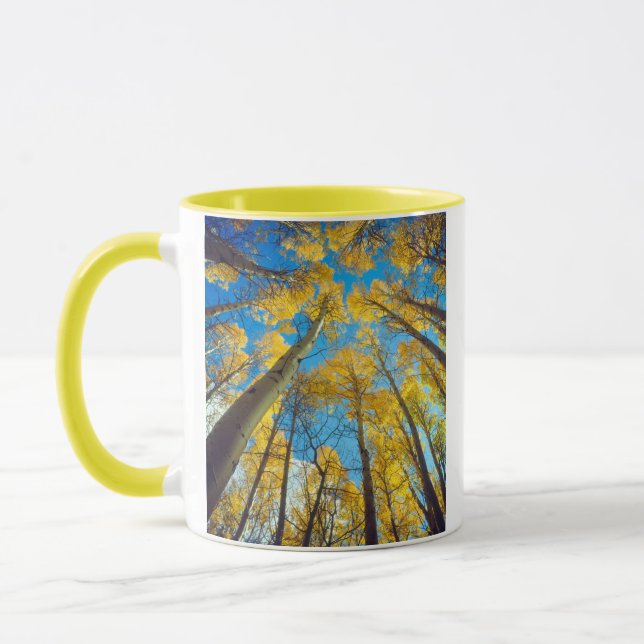 Fall colours of Aspen trees 2 Mug (Left)