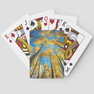 Fall colours of Aspen trees 2 Playing Cards