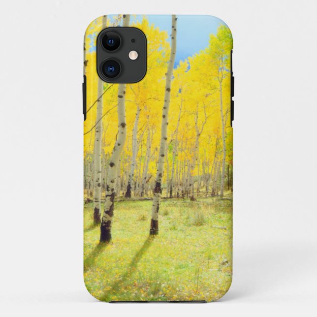 Fall colours of Aspen trees 4 Case-Mate iPhone Case (Back)