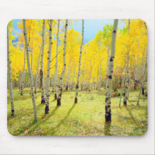 Fall colours of Aspen trees 4 Mouse Mat