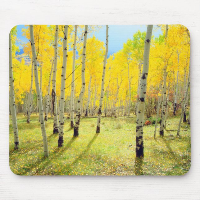 Fall colours of Aspen trees 4 Mouse Mat (Front)