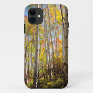 Fall colours of Aspen trees 5 iPhone 11 Case
