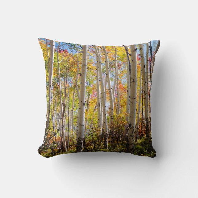 Fall colours of Aspen trees 5 Cushion (Front)