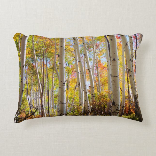 Fall colours of Aspen trees 5 Decorative Cushion (Front)