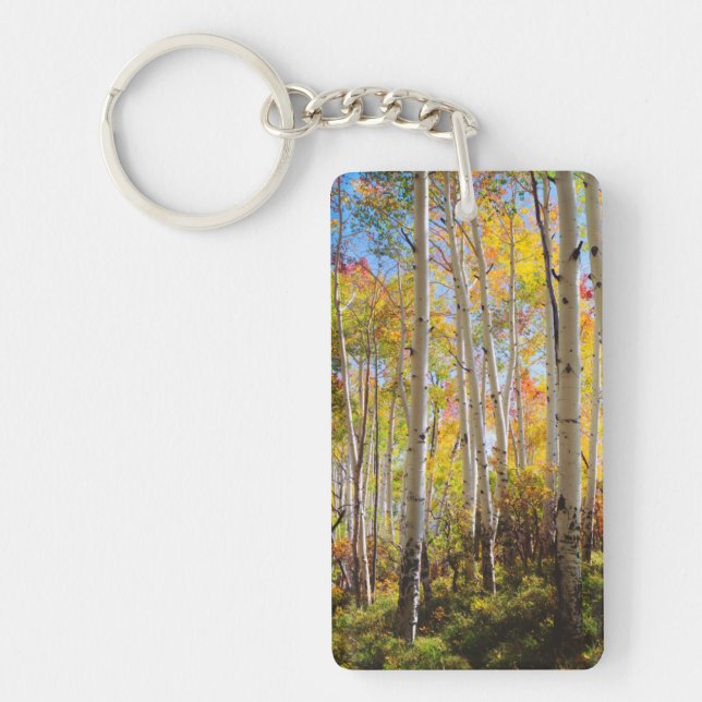 Fall colours of Aspen trees 5 Key Ring (Front)