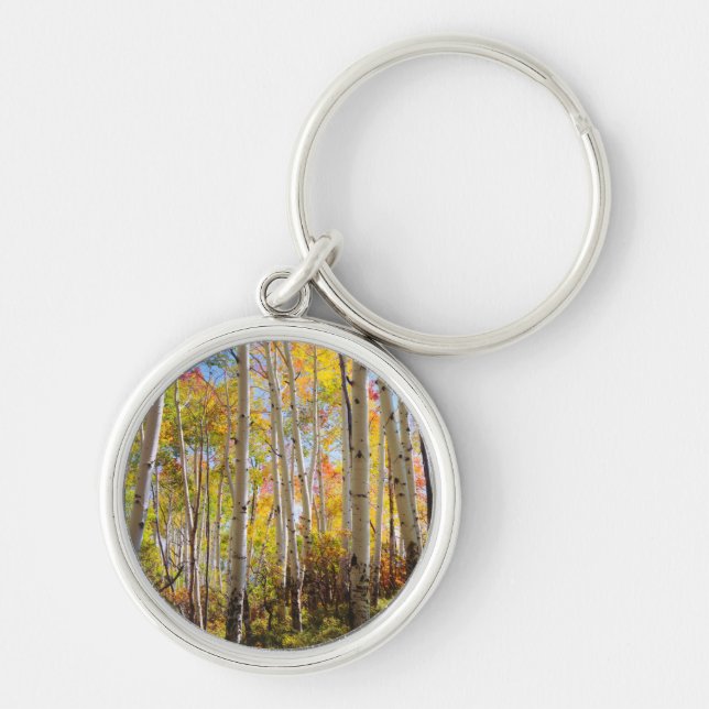 Fall colours of Aspen trees 5 Key Ring (Front)