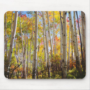 Fall colours of Aspen trees 5 Mouse Mat