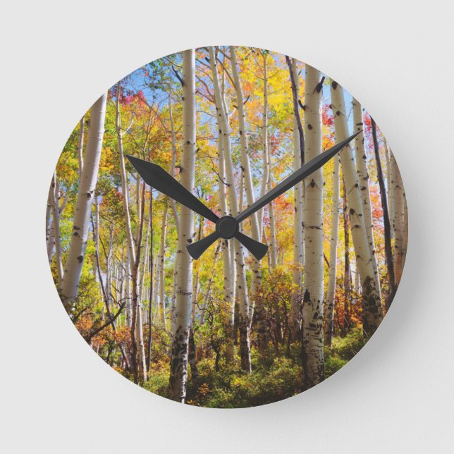 Fall colours of Aspen trees 5 Round Clock (Front)