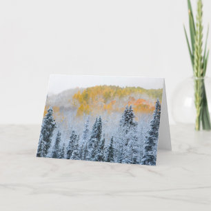 Fall Colours of Aspens & Fresh Snow Keebler Pass Card