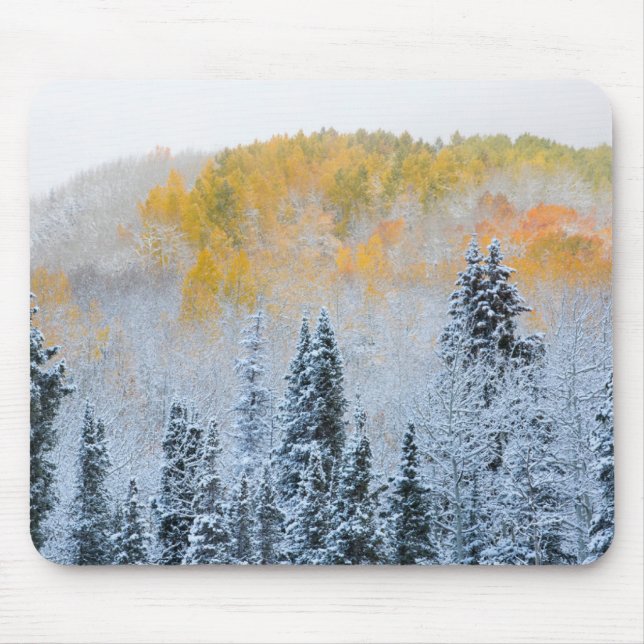 Fall Colours of Aspens & Fresh Snow Keebler Pass Mouse Mat (Front)