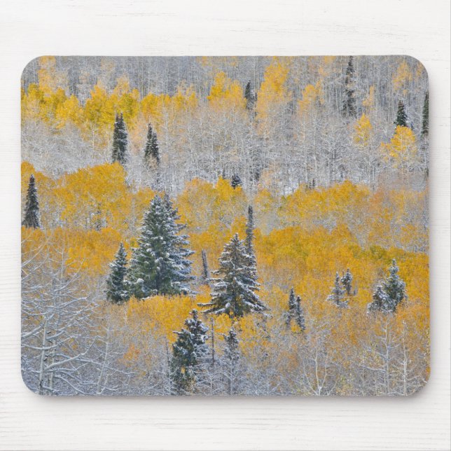 Fall Colours of Aspens & Fresh Snow Keebler Pass Mouse Mat (Front)