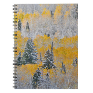 Fall Colours of Aspens & Fresh Snow Keebler Pass Notebook