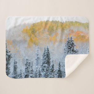 Fall Colours of Aspens & Fresh Snow Keebler Pass Sherpa Blanket