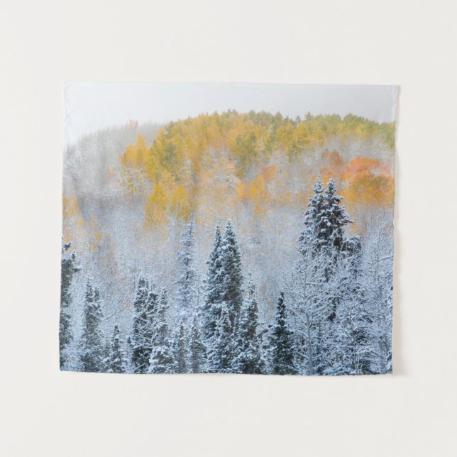 Fall Colours of Aspens & Fresh Snow Keebler Pass Tapestry (Front (Horizontal))