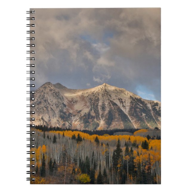 Fall Colours of Aspens, Keebler Pass Notebook (Front)