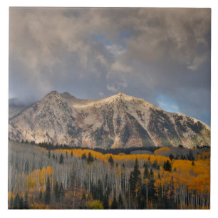Fall Colours of Aspens, Keebler Pass Tile