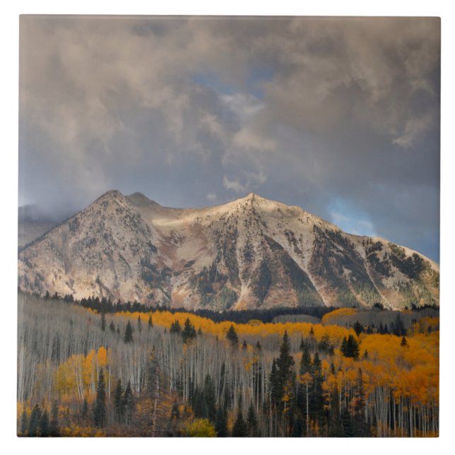 Fall Colours of Aspens, Keebler Pass Tile (Front)