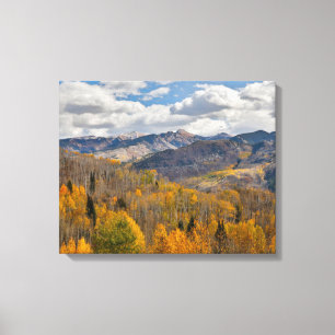 Fall Colours of Aspens & Oaks Keebler Pass Canvas Print