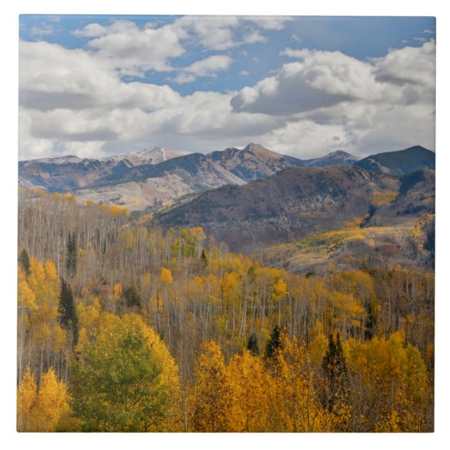 Fall Colours of Aspens & Oaks Keebler Pass Tile (Front)