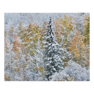 Fall Colours of Aspens & Snow Keebler Pass Faux Canvas Print