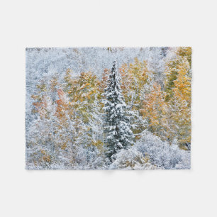 Fall Colours of Aspens & Snow Keebler Pass Fleece Blanket