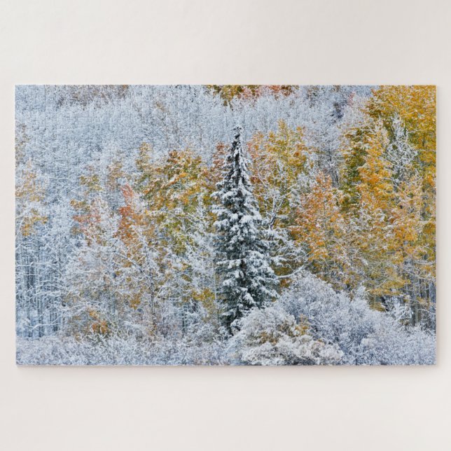 Fall Colours of Aspens & Snow Keebler Pass Jigsaw Puzzle (Horizontal)